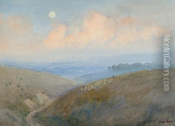 Sheep On A Hillside Oil Painting - William Collingwood Smith
