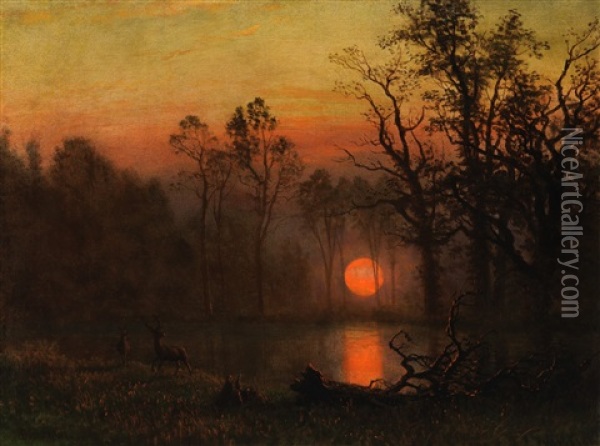 Sunset Over The Plains; Or Deer In A Sunset Landscape Oil Painting - Albert Bierstadt