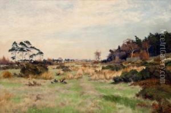 Near Harewood Park, Yorks Oil Painting - William Edwin Tindall