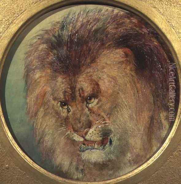 Study of a Lion Oil Painting - William Huggins