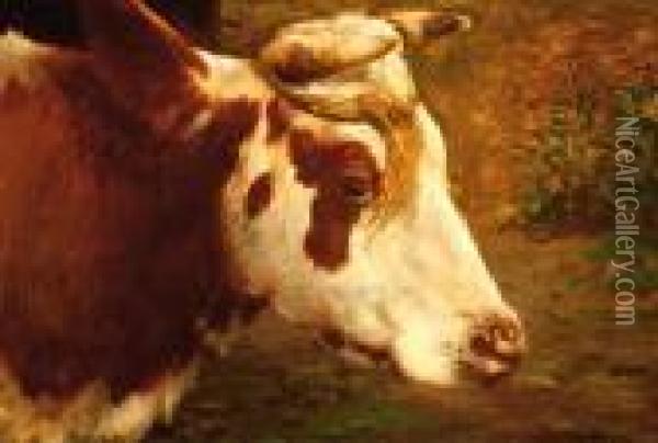 Head Of A Cow Oil Painting - Fedor Van Kregten