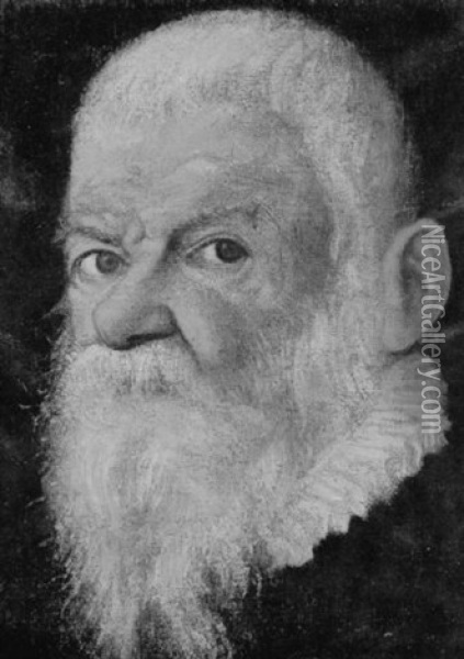 Portrait Of A Bearded Man Oil Painting - Leandro da Ponte Bassano