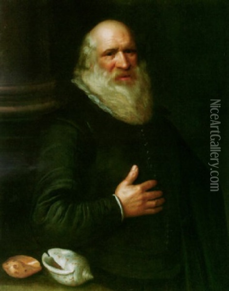 Portrait Of John Tradescant The Elder Wearing A Dark Coat And White Ruff, With Two Shells On A Table To His Right Oil Painting - John Decritz the Elder
