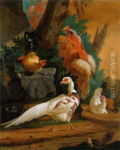 A White Pheasant A Turkey And Poultry In A Landscape Oil Painting - Abraham Bisschop