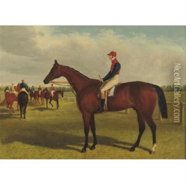 Don John, Winner Of The St. Leger, 1838 And The St. Leger, 1839 Oil Painting - James Herring