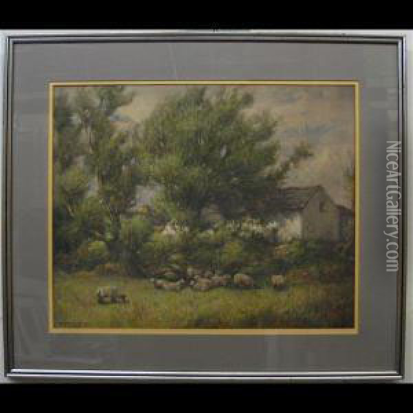 Sheep At Rest Oil Painting - W.H. Wilkinson