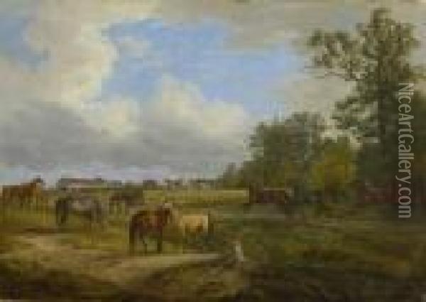 Pferde Auf Der Koppel Oil Painting - Adam Albrecht