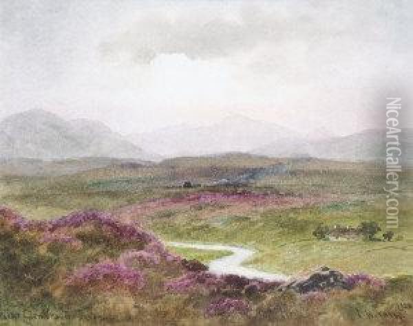 Near Glenveagh, Donegal Oil Painting - Joseph Carey Carey