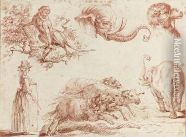 Sketches Of Animals And A Woman Oil Painting - Jean-Baptiste Huet I