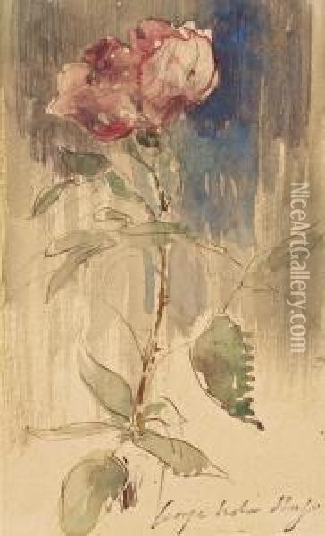 Etude De Rose Oil Painting - Georges-Victor Hugo
