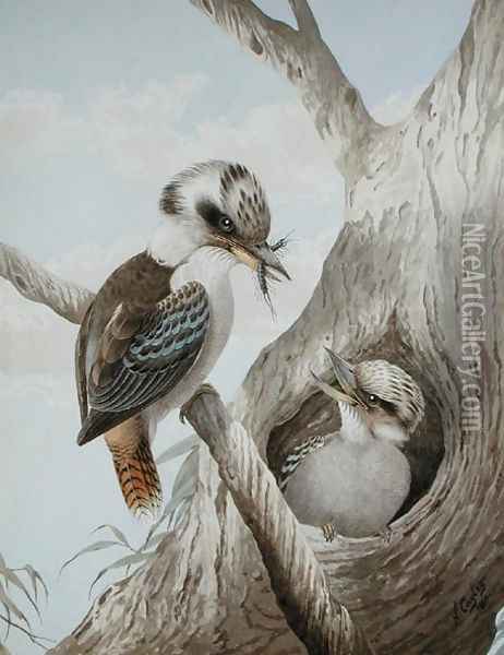 Kookaburras Feeding at a Nest in a Tree, 1892 Oil Painting - Neville Henry Peniston Cayley