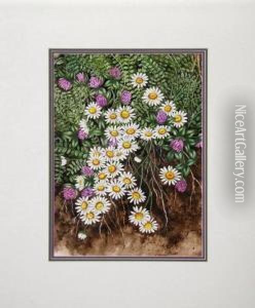 Daisies Oil Painting - Louise Marie Jeanne Mauduit