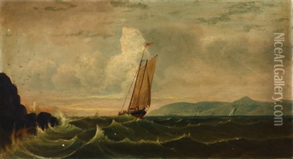 Sailing In San Francisco Bay Oil Painting - Charles Dyer Shed