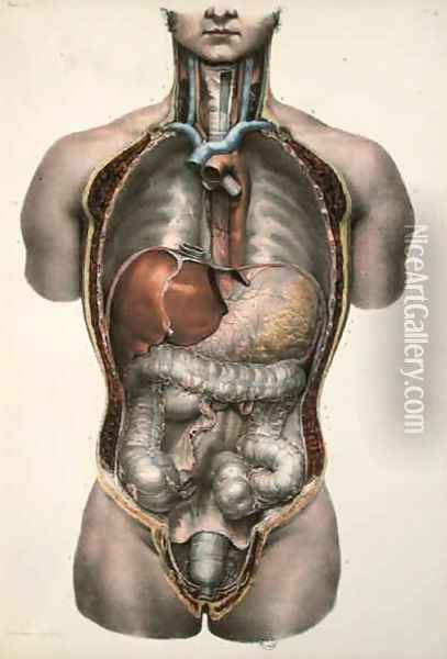Internal organs Oil Painting - Nicolas Henri Jacob