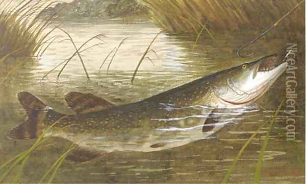 Hooking a pike Oil Painting - A. Roland Knight