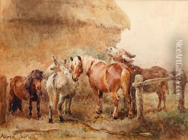 A Pack Of Thieves Oil Painting - William Strutt