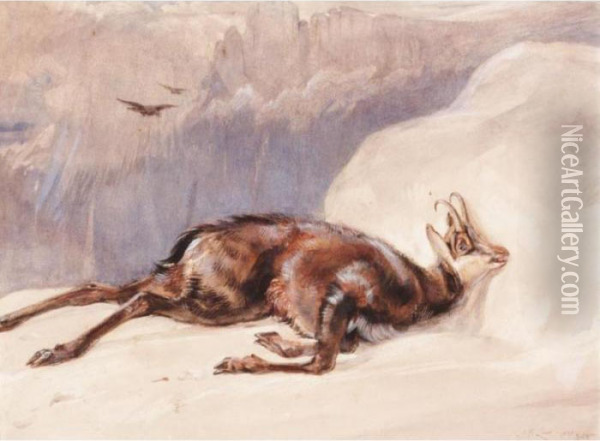 The Chamois, Sketched In The Tyrol Oil Painting - John Frederick Lewis