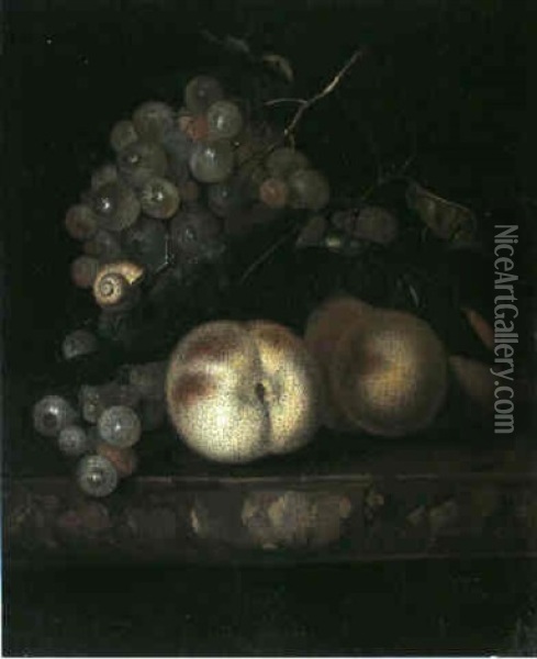 Fruchtestilleben Mit Pfirsichen Und Einer Schnecke Oil Painting - Willem Van Aelst