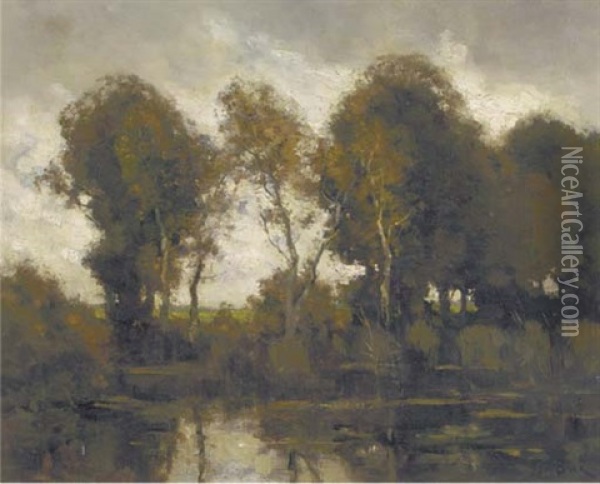 Trees By A Pond Oil Painting - Theophile De Bock