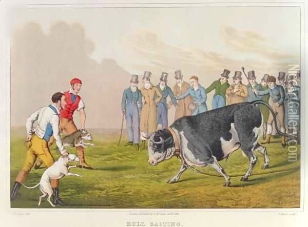 Bull Baiting 2 Oil Painting - Henry Thomas Alken