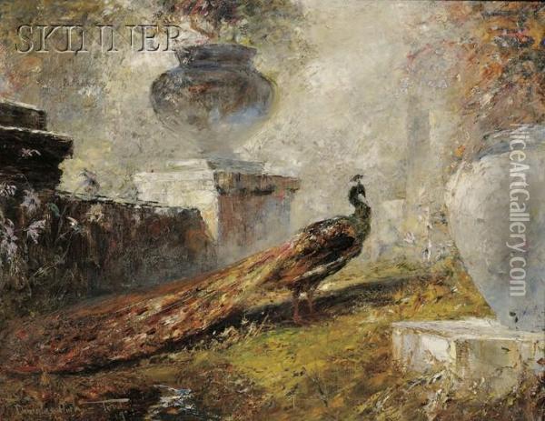 Peacock Among Garden Urns Oil Painting - Douglas Arthur Teed