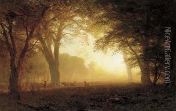 Golden Light Of California Oil Painting - Albert Bierstadt
