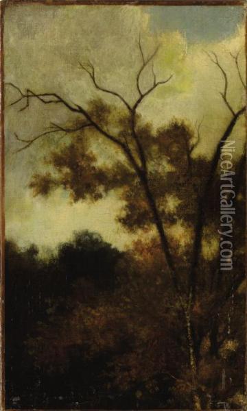 Woodland Landscape Oil Painting - Charles-Francois Daubigny