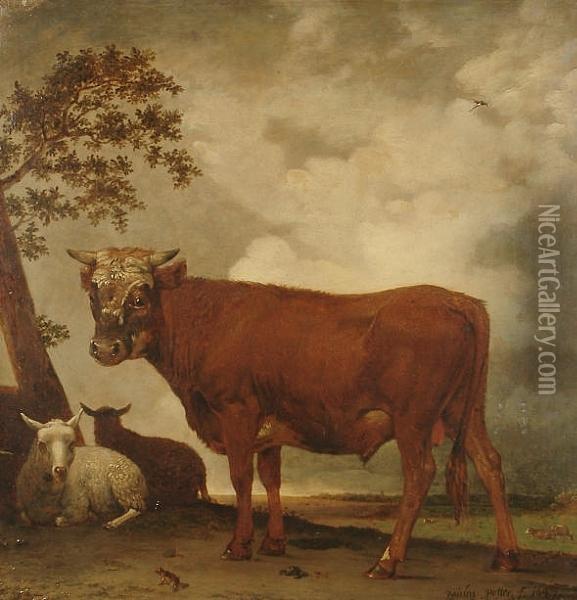 A Bull And Sheep In A Landscape Oil Painting - Paulus Potter