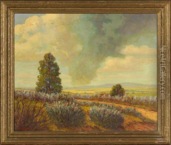 Summer Rain Cloud Oil Painting - Thomas Jefferson Folawn