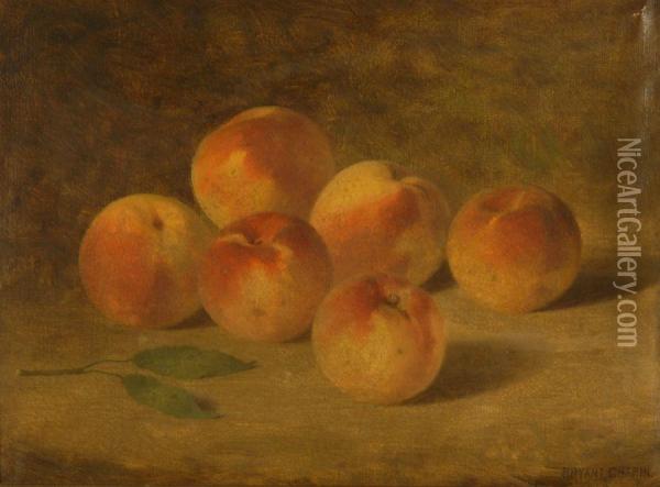 Still Life With Peaches Oil Painting - Bryant Chapin
