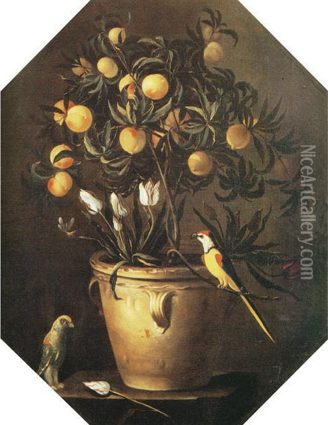 Albero Di Pesche Con Tulipani E Pappagalli Oil Painting - Luca Forte
