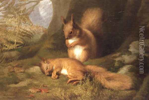 Squirrels in a Wood Oil Painting - Robert Collinson