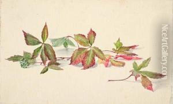 Leaf Studies Oil Painting - August Friedrich Schlegel