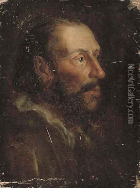 Head of a bearded man Oil Painting - Flemish School