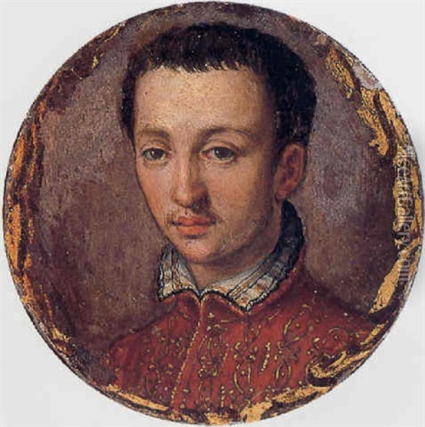 Portrait Of Franceso L De'medici Oil Painting - Alessandro di Cristofano Allori