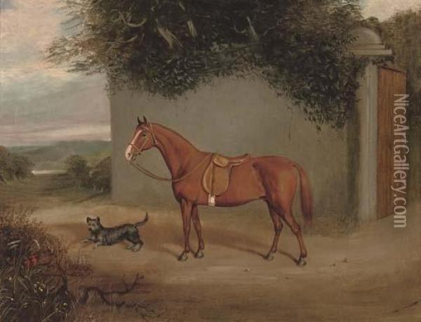 A Chestnut Hunter In A Stable Oil Painting - Henry Frederick Lucas-Lucas
