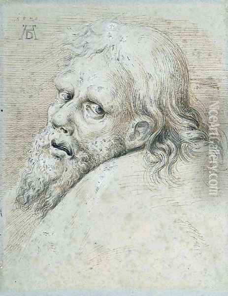 The Head of a bearded Man, turned to the left looking back Oil Painting - Hans Hoffmann