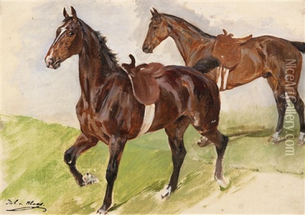 Zwei Gesattelte Pferde Oil Painting - Julius von Blaas