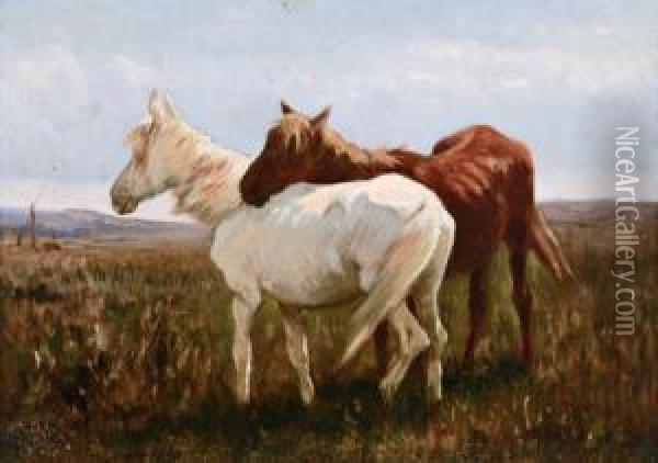 Pferde In Der Pusta Oil Painting - Johann Gualbert Raffalt