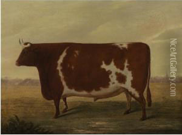 The Improved Lincolnshire Ox - Durham Cross, Smithfield 1832 Oil Painting - William Willoughby