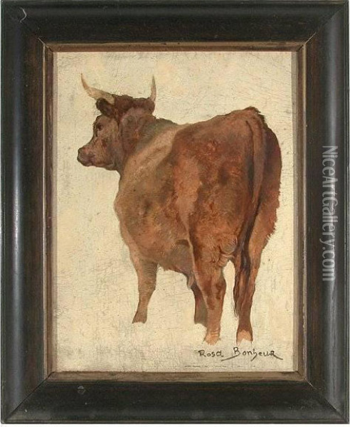 Portrait Of A Bull Oil Painting - Rosa Bonheur