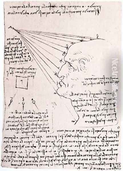 Study Of The Effect Of Light On A Profile Head Facsimile Oil Painting - Leonardo Da Vinci