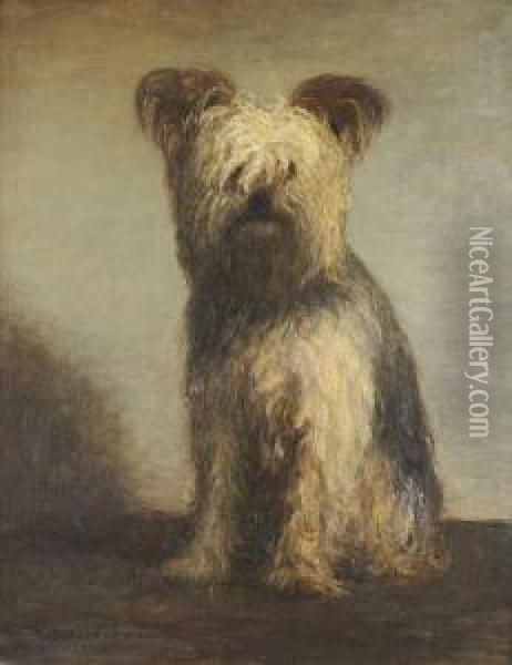 A Yorkshire Terrier Oil Painting - Frederick William Jackson