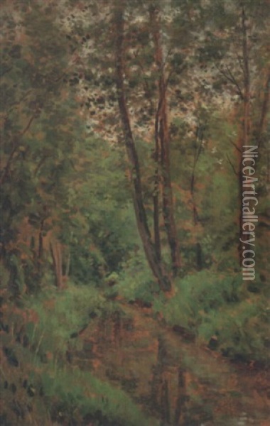 Ruisseau En Sous-bois Oil Painting - Leon Louis Antoine Riesener