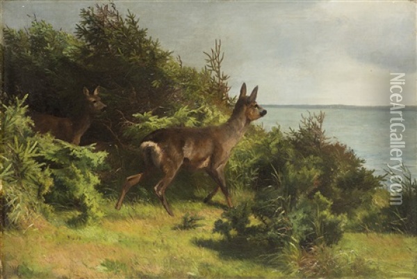 Paesaggio Con Cerbiatti Oil Painting - Adolf Heinrich Mackeprang