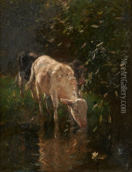 Veaux S'abreuvant Oil Painting - Willem Maris