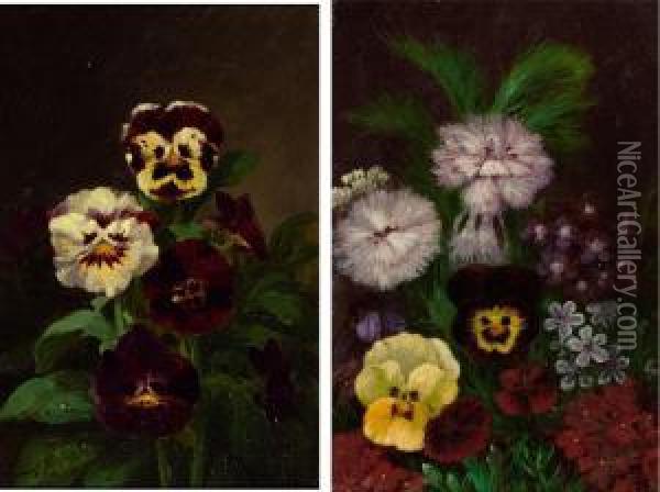 Flower Paintings Oil Painting - John Williamson