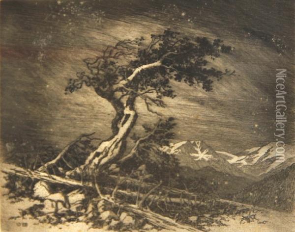 Timberline Pine Oil Painting - George Elbert Burr
