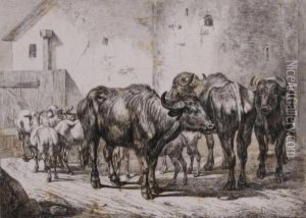 Four Prints Depicting Animals Oil Painting - Johan Adam Klein
