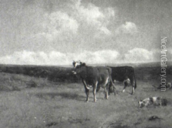 Cattle In A Field Oil Painting - Albion Harris Bicknell